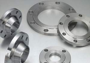 Stainless Steel Flange